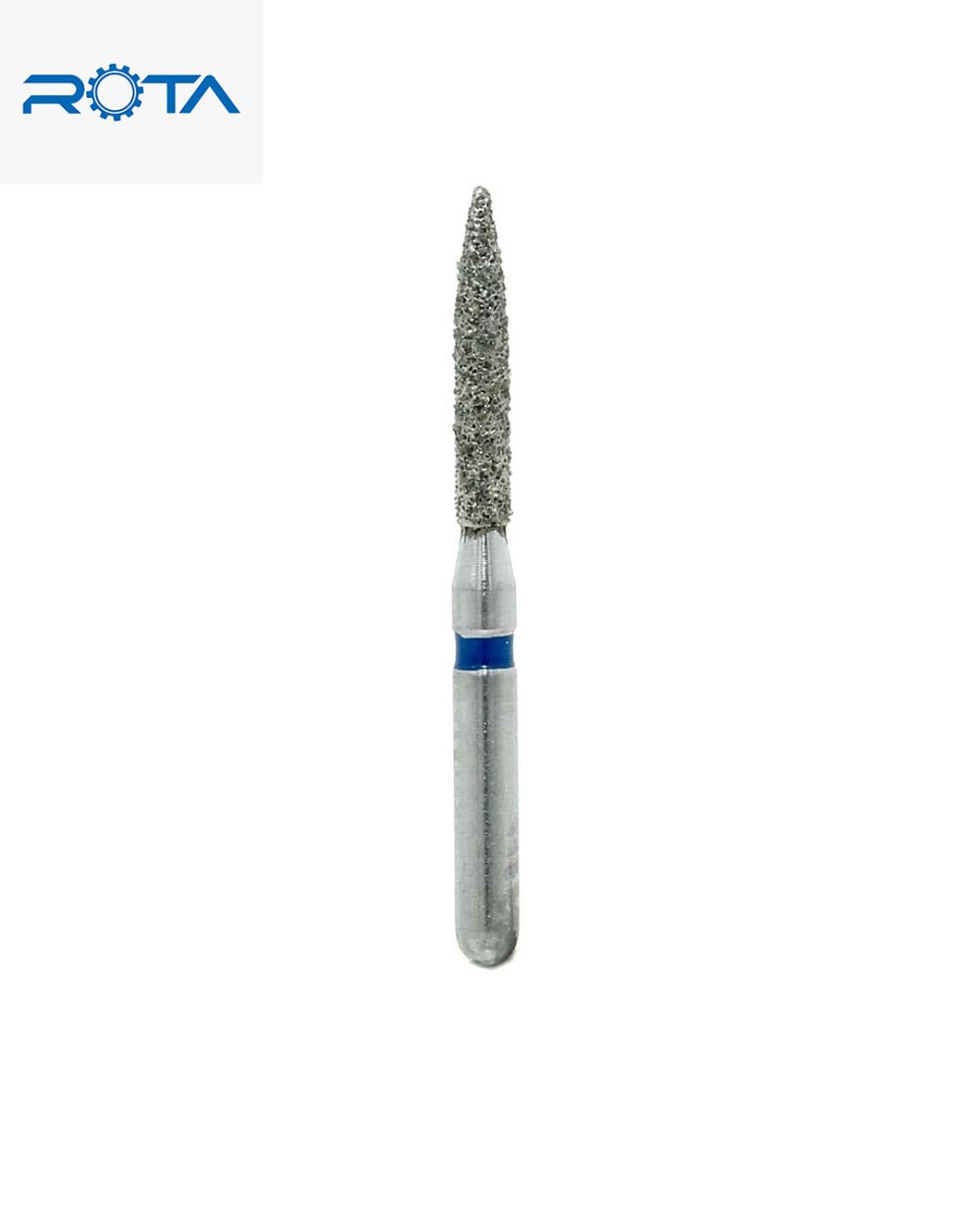 258 fo s21_١١٢٣٢١